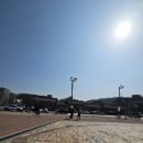 수원시 팔달구 팔달로 | 수원 성곽길 수원 가볼만한 곳 봄 산책 후기