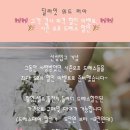 데일리딜라잇 이미지