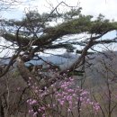 새덕산(塞德山449m).벼락자리봉(500m).숫돌봉(370m).두리봉(545m)./경기 가평 이미지