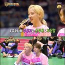 다미다원 이미지