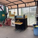 천안세차장백세 이미지