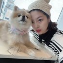 11편 임신30주,31주,32주,아기방꾸미기,아기방인테리어,아기방커텐,일룸쿠시노,신생아손수건세탁,신생아...