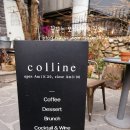 콜린(colline)