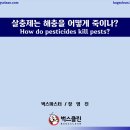작은행동한사랑 이미지