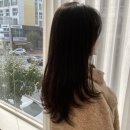[청주 미용실] 손수헤어/ 은설 디자이너/ 긴머리 C컬펌 후기