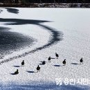 대한과 입춘 사이- 대한에 매듭짓고 입춘에 새로 시작하길 이미지