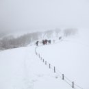 병정목장 이미지