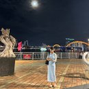 메스메디칼 | 해외여행 인천공항 인터넷면세점 화장품 가디건 가방 육아용품 쇼핑 리스트(구매가격공개, 추천템)