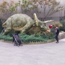 신세계주 이미지
