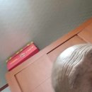 주홈 Daum카페