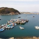 오천항 수산물판매센터 이미지