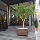 강남-015 | 강남 카페 추천 ☕ 디저트 맛집 015 COFFEE 후기