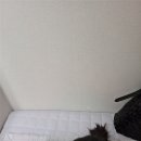검단경희한의원 네이버블로그