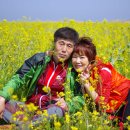 신시 이미지