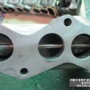 곰식이카 이미지