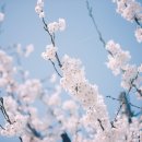 탐앤헉 이미지