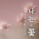 부산진구-22 이미지