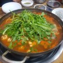명문물텀벙 이미지