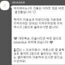 247케이크 이미지