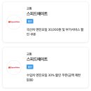 스피드메이트강릉 이미지