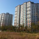 청라 상록힐스테이트 10블럭 Daum카페