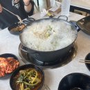 은미식당 | 대부도칼국수맛집 은미네칼국수 대부도애견동반식당 다녀온 후기