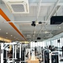 바디엔지니어스짐 이미지