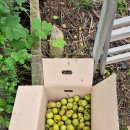 백암기사식당 이미지