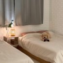 고등연세이비인후과의원 이미지