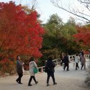 불국사박물관 이미지