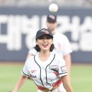 화사 이미지