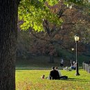 멍즈니랜드 | Busy beaver PARK