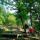 설매재자연휴양림 이미지