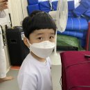 이로운 태권도장 이미지