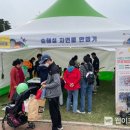 숲해설체험 이미지