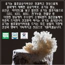 미강바이오