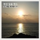 해돋이 | 부산 일출 명소 기장 카페 카페윤 새해 해돋이 후기