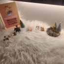 목정 | 서초탈모관리 닥터모다르 양재점 꼼꼼한 케어 후기