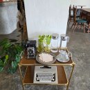 참사랑해든약국 | 나의 첫 치앙마이 🇹🇭 2025 - 3 (코코넛마켓, 징짜이마켓, 와로롯마켓, rivers&amp;roads, 싱하랏약국)