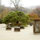 참송 이미지