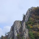 남산 이미지
