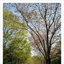 율동생태학습원 이미지