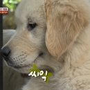 복덩이순대국 이미지