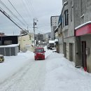 오타루 Daum카페