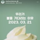 벌크커피여수