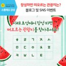장성이벤트 이미지