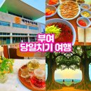 충남 부여 당일치기 여행 코스 정리(ft. 백제문화단지, 장원막국수, 책방 세간, 성흥산사랑나무)