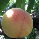 덕우농장 이미지