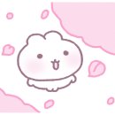 과천식빵 이미지