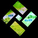 전북산림박물관 이미지